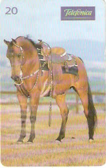 SP-0201 - Árabe é Versatilidade